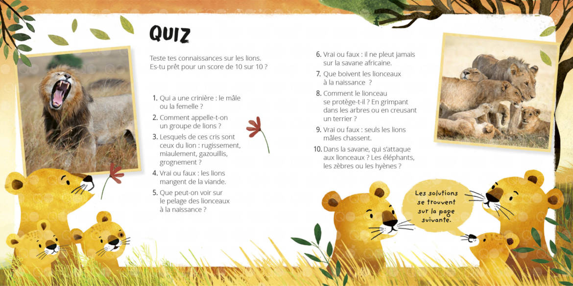 Petit-lion_____.jpg