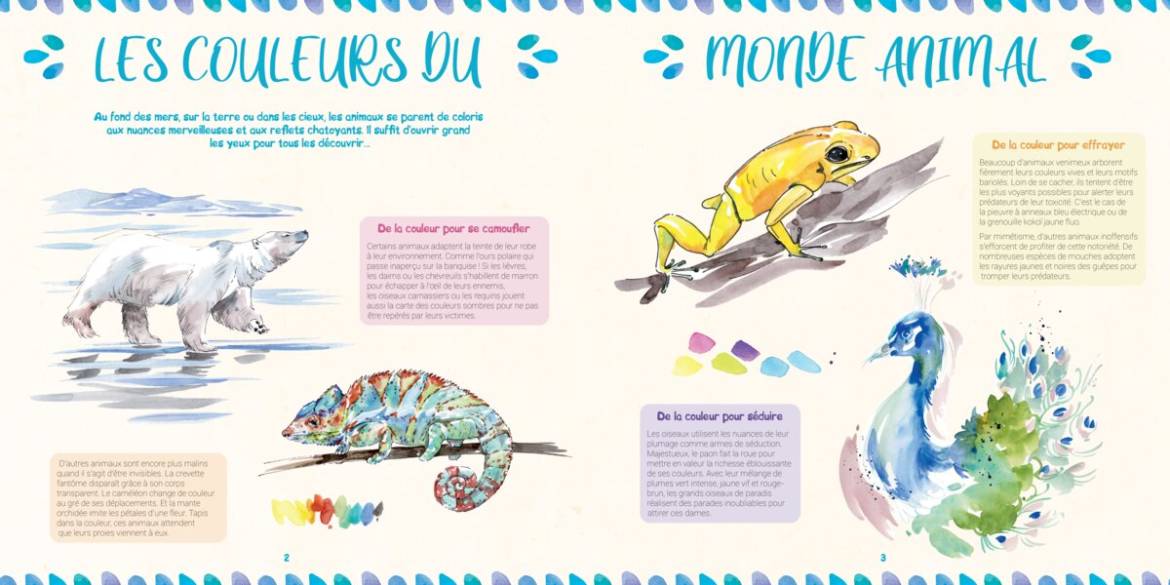 Les-couleurs-de-la-nature_.jpg