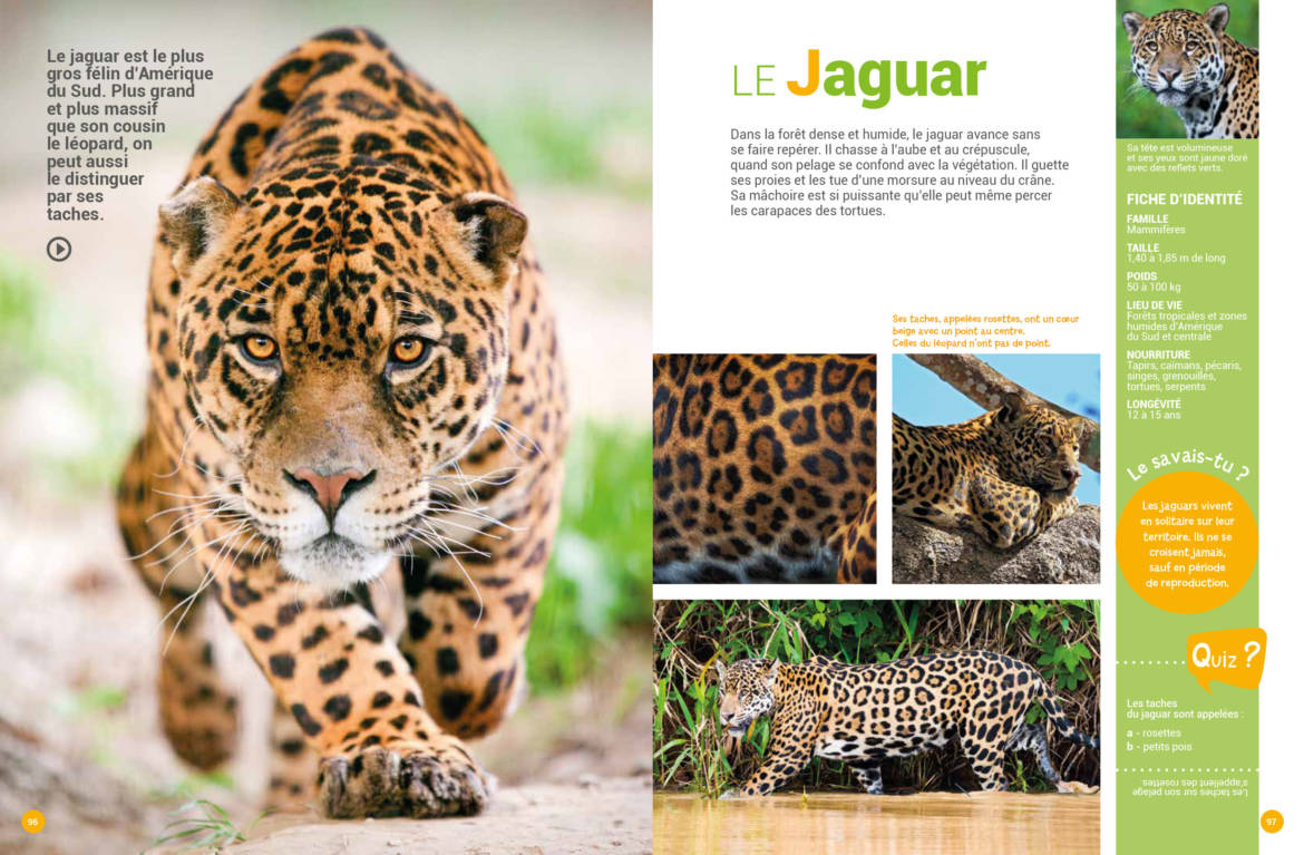 Mon-encyclo-des-animaux_-1.jpg