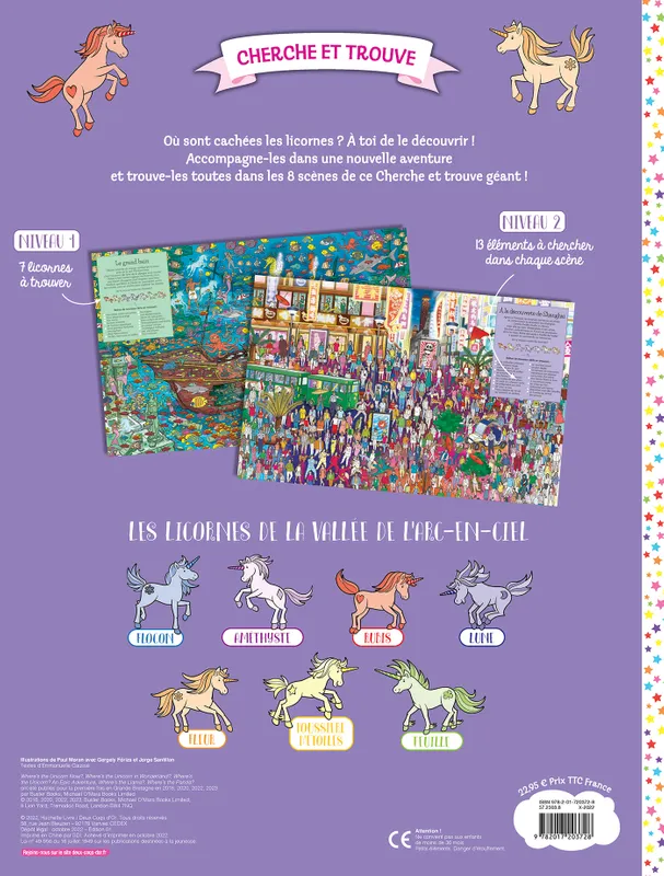 Ou-sont-caches-les-licornes_.webp