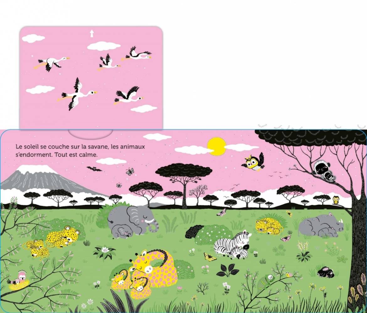 Promenade-dans-la-savane_.jpg