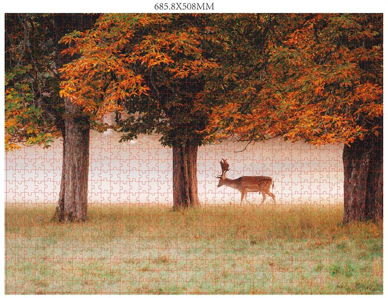 Puzzle-Scandinavie__.jpg