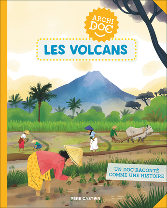 Les-volcans.jpg