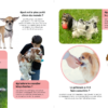 Tous les chiens – Image 3