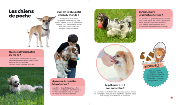 Tous les chiens – Image 3