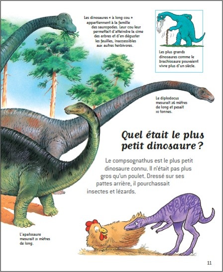 Au-temps-des-dinosaures___.jpg