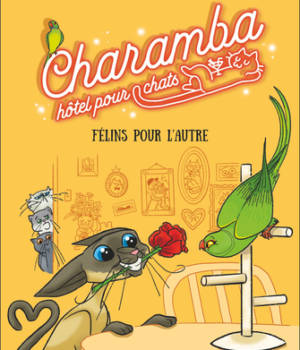 Charamba, hôtel pour chats : Félins pour l'autre