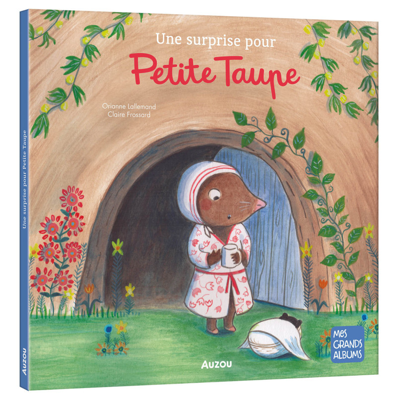 Une-surprise-pour-petite-taupe.jpg