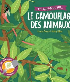 Le camouflage des animaux : un livre magique à éclairer !
