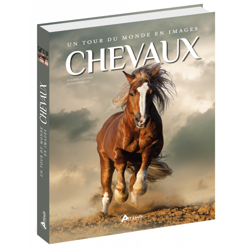 Chevaux.png