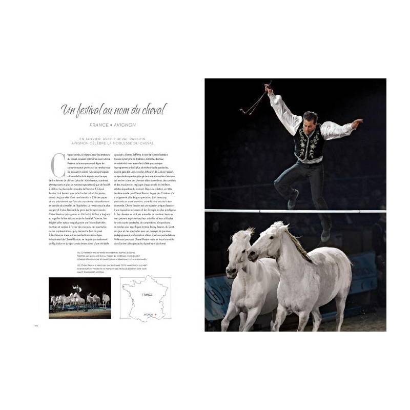 Chevaux____.jpg