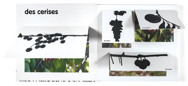 Fruits, fleurs, légumes... – Image 2