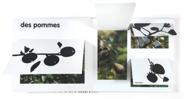 Fruits, fleurs, légumes... – Image 3