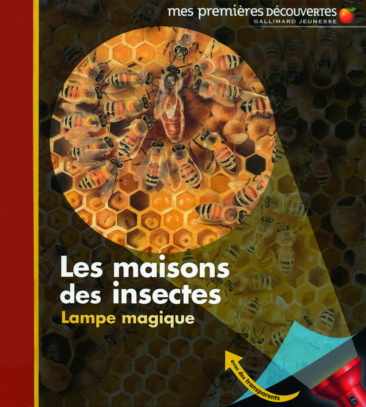 La-maison-des-insectes.jpg