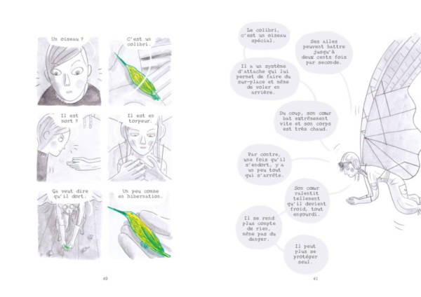 Le colibri – Image 5