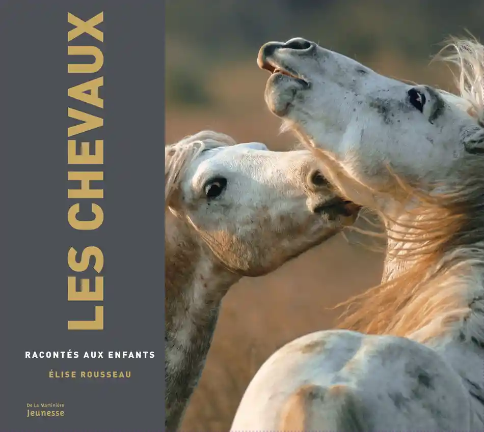 Les-chevaux.webp