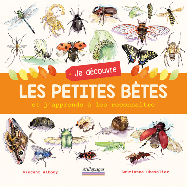 Les-petites-betes.png
