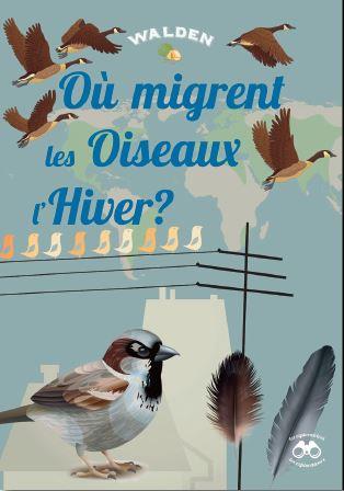 Ou-migrent-les-oiseaux-lhiver.jpg