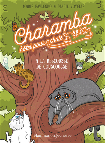 Charamba-hotel-pour-chats.jpg