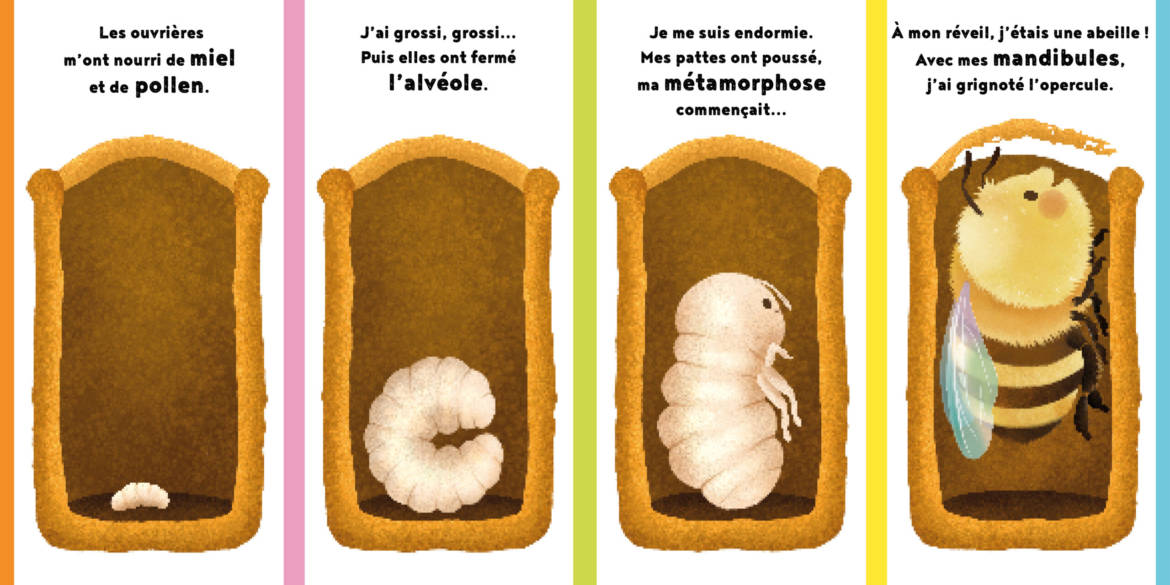 La-petite-abeille_.jpg