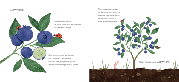 Le-jardin-sur-le-toit-de-Linh__.png