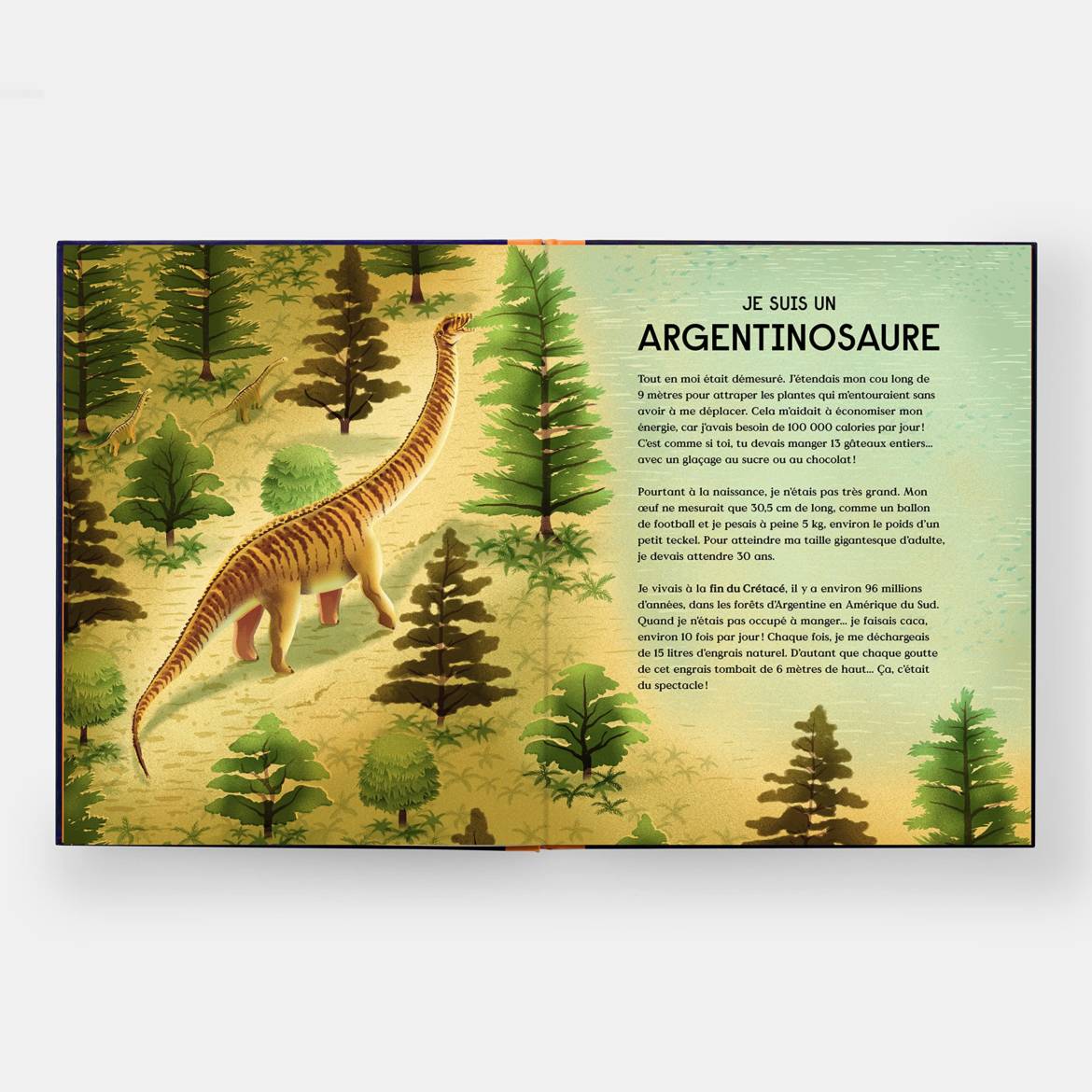 Le-livre-des-dinosaures_.jpg