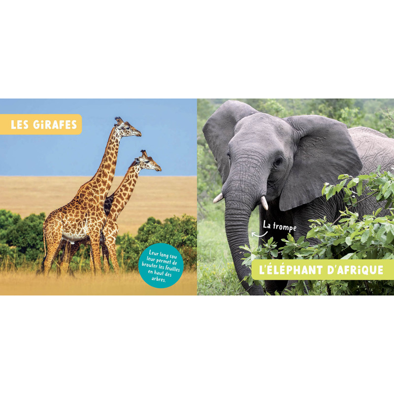 Les-animaux-de-la-savane_.jpg