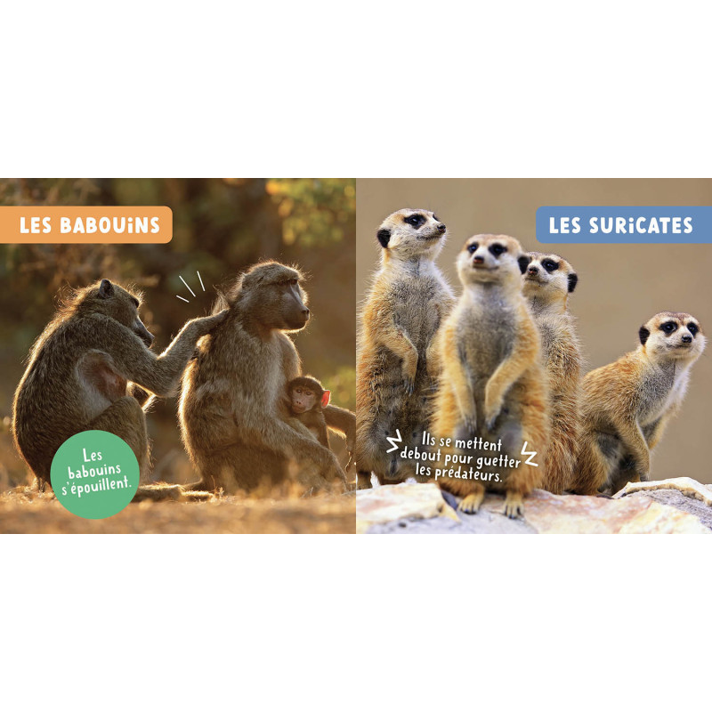 Les-animaux-de-la-savane__.jpg