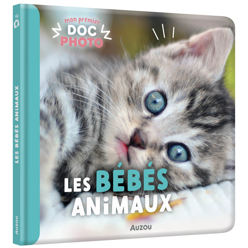 Les-bebes-animaux.jpg