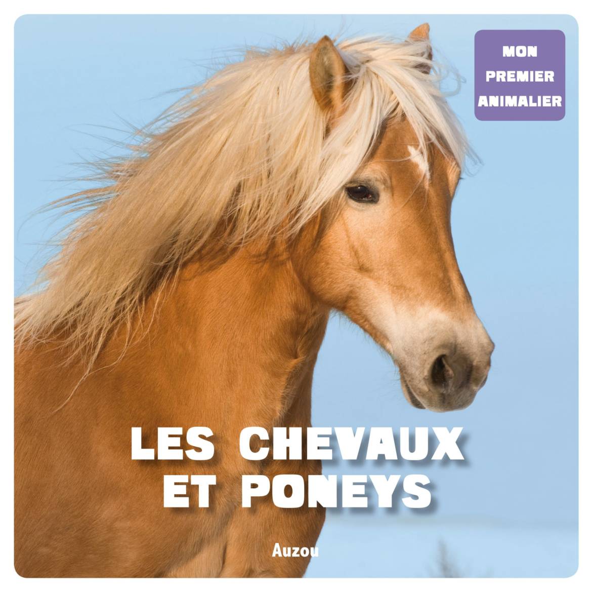 Les-chevaux-et-poneys.jpg