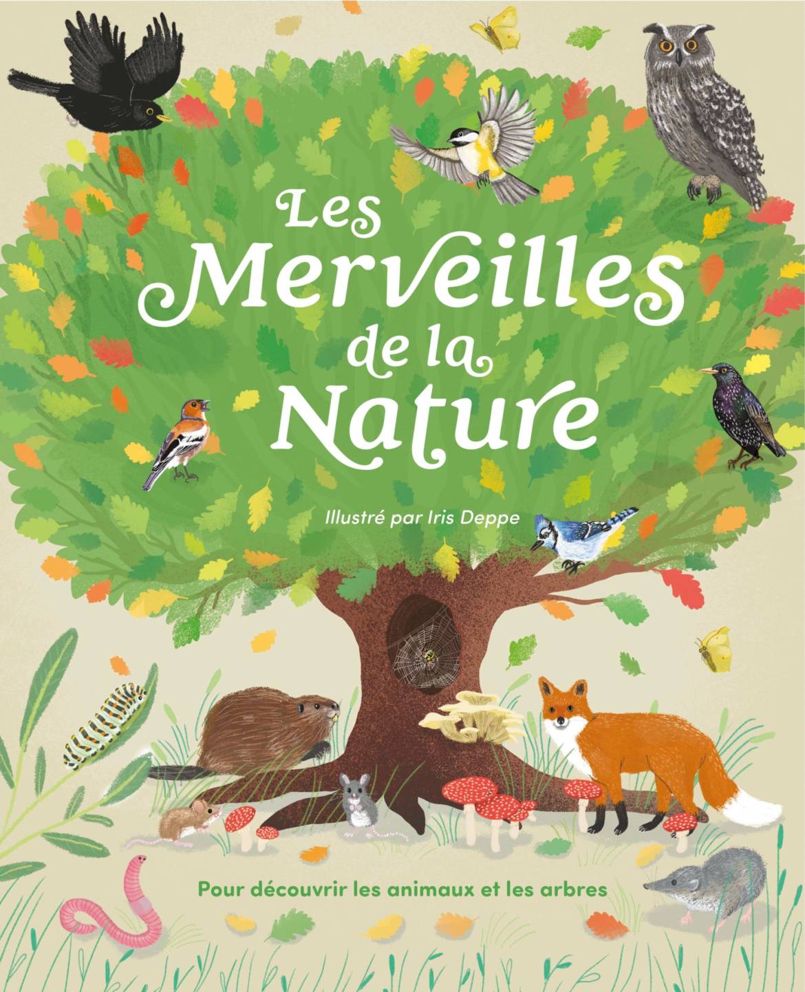 Les-merveilles-de-la-nature.jpg