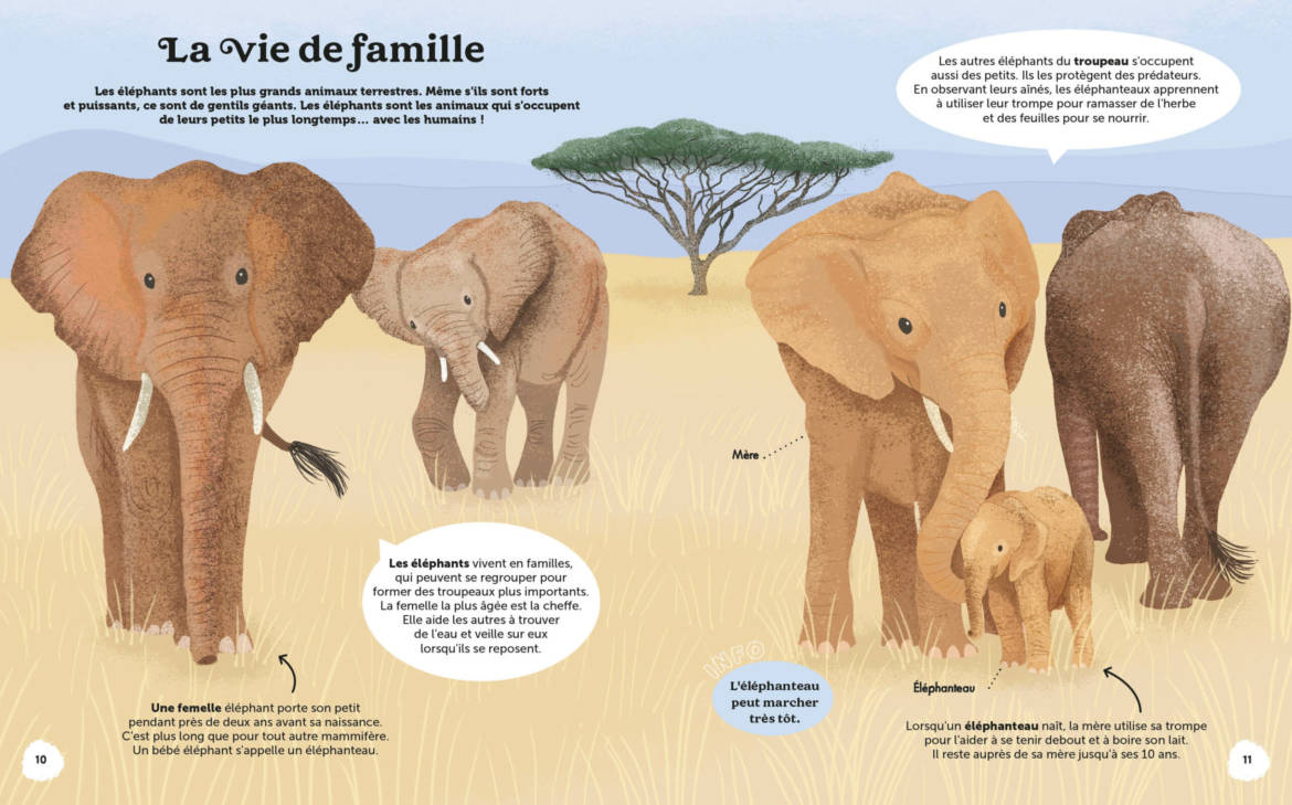 Les-merveilles-de-la-nature_.jpg