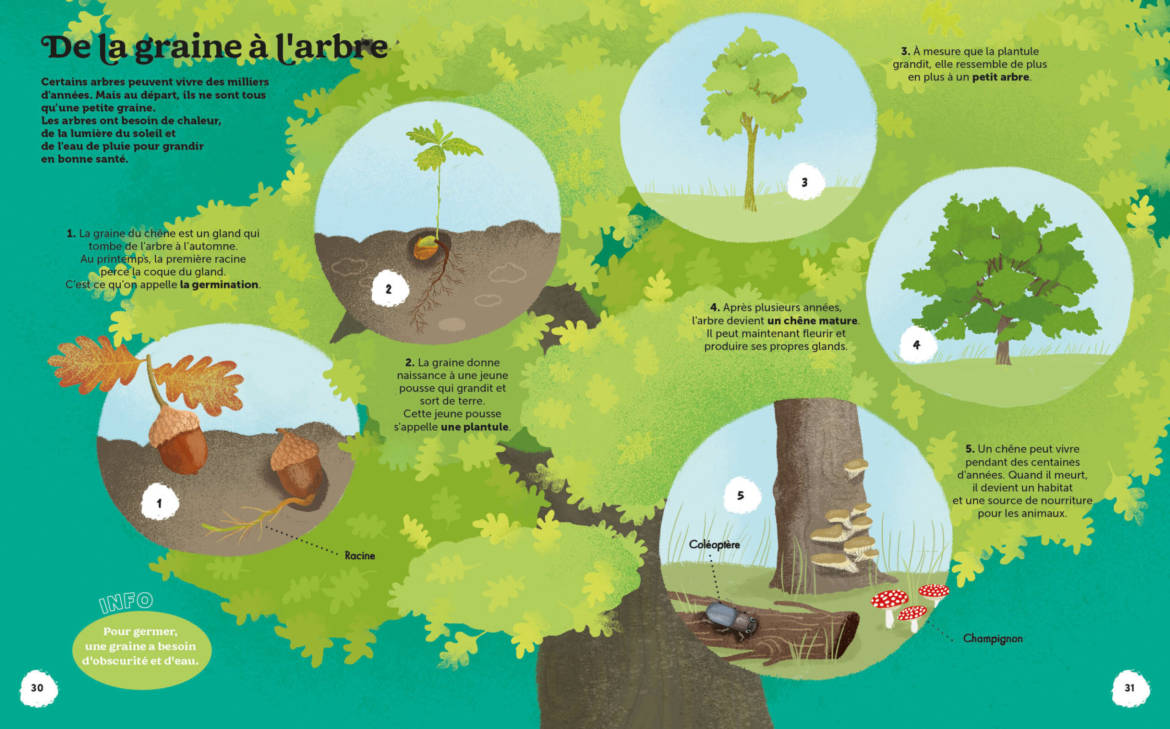 Les-merveilles-de-la-nature___.jpg