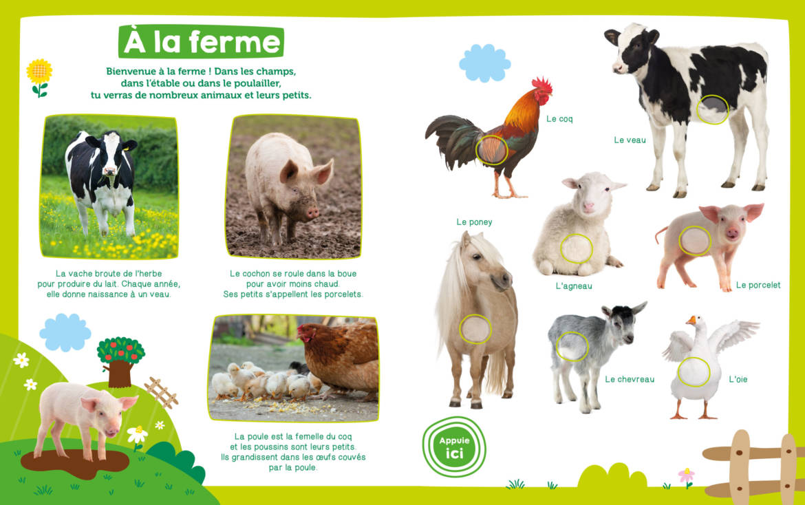 Mon-imagier-sonore-les-animaux_.jpg