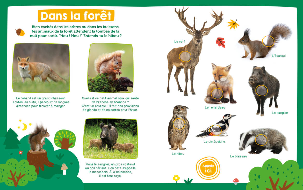 Mon-imagier-sonore-les-animaux__.jpg