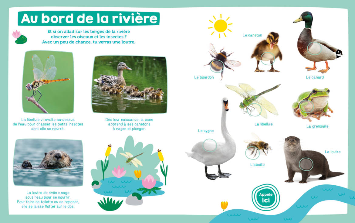 Mon-imagier-sonore-les-animaux___.jpg
