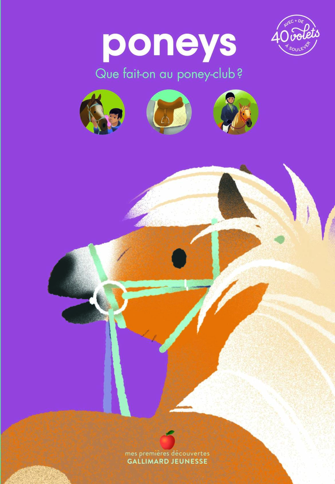 Poneys-scaled.jpg