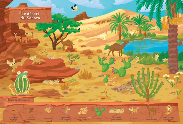 Cherche-et-trouve-les-animaux-du-monde__.png