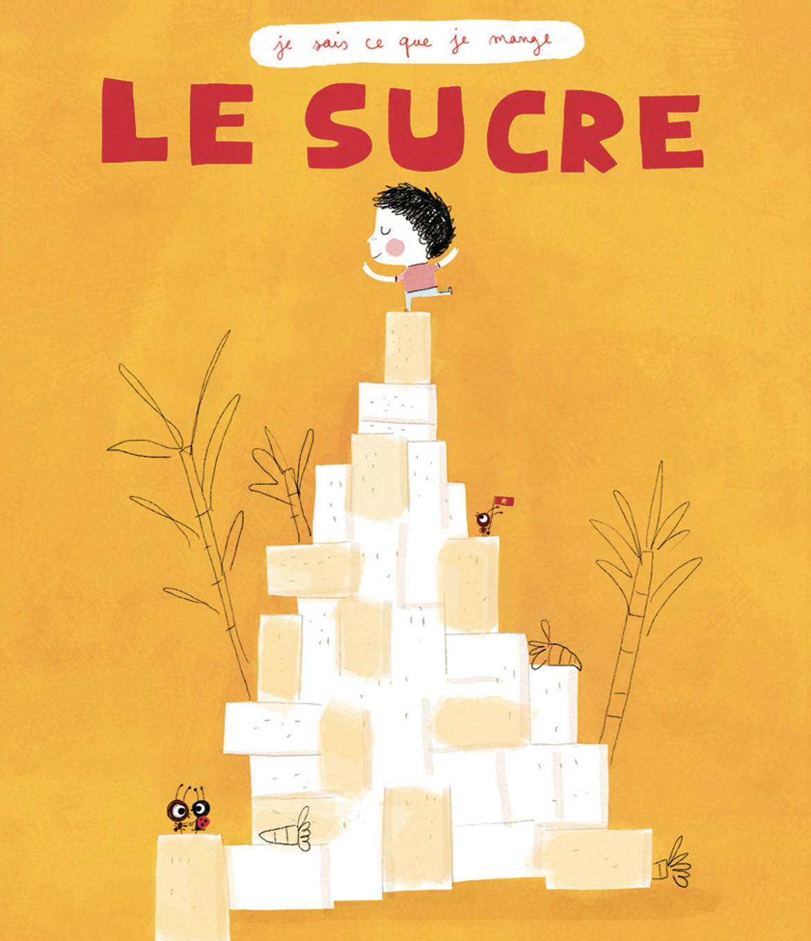 Le-sucre.jpg