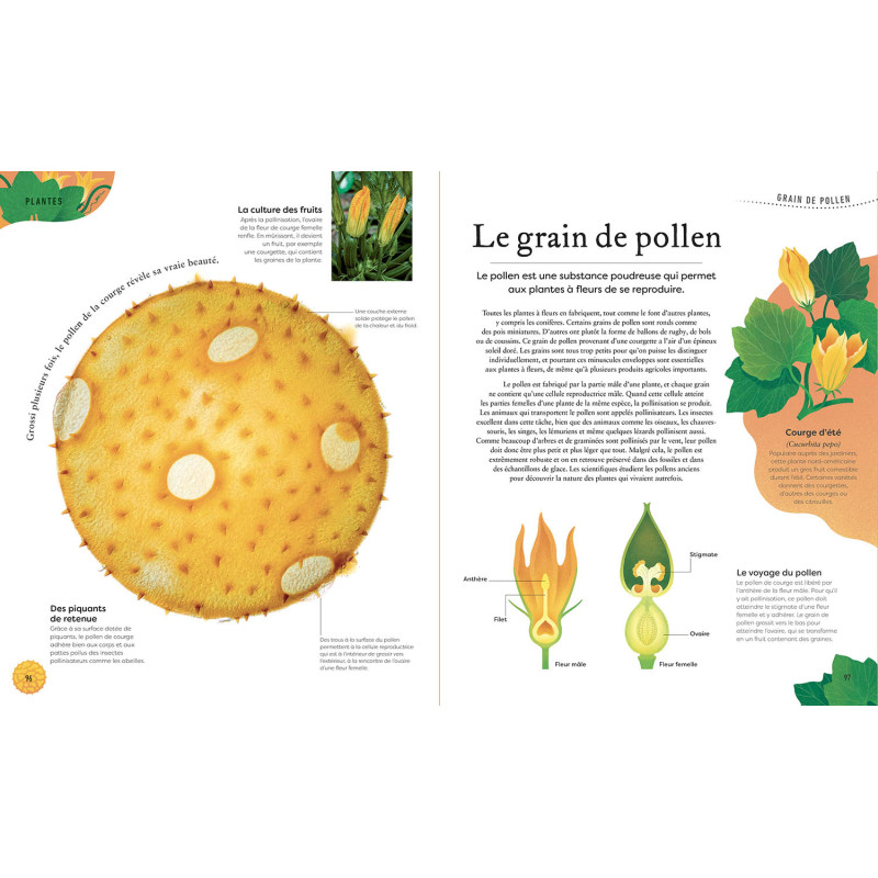 Tresors-de-la-nature__.jpg