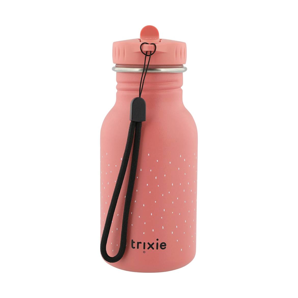 Gourde-flamant-rose_.jpg