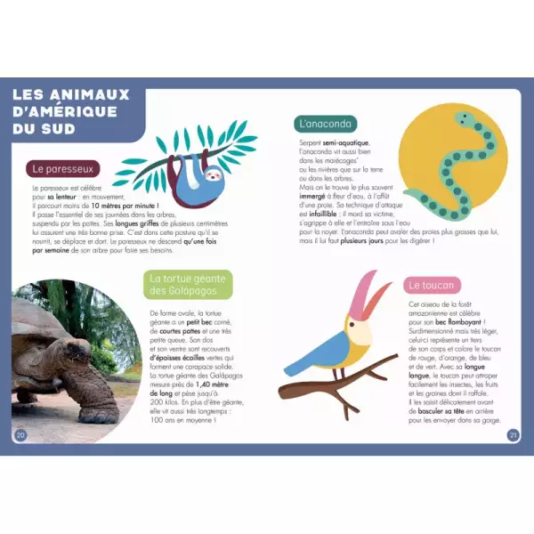 Atlas - puzzle 200 pièces – Image 4
