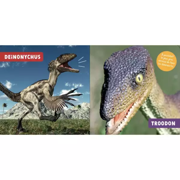 Les dinosaures – Image 2