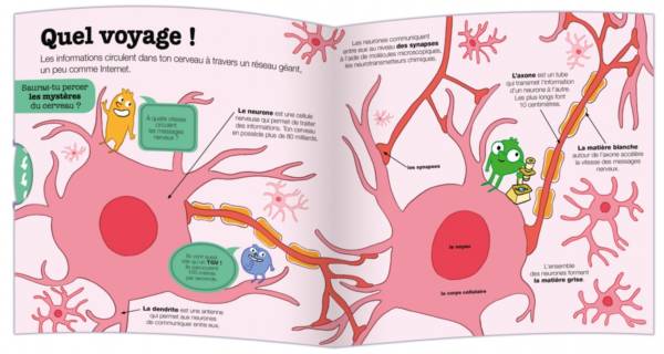 Explore ton cerveau – Image 4