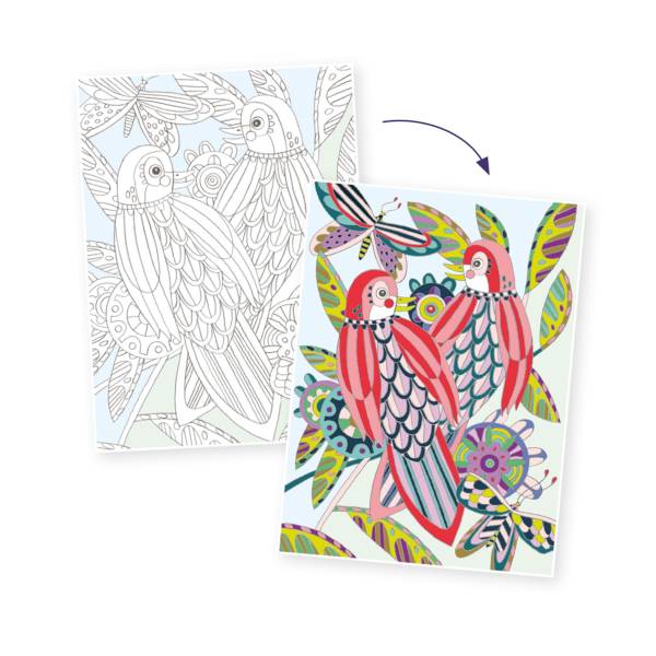 Colouring Gallery Oiseaux - 3 posters – Image 2