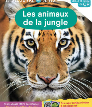 Les animaux de la jungle - niv.1