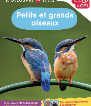Petits et grands oiseaux - niv.2