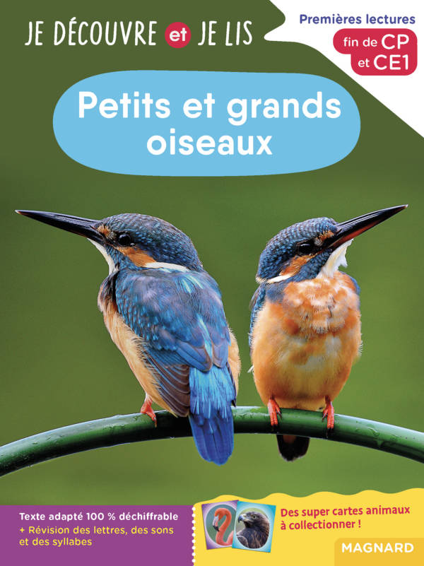 Petits et grands oiseaux - niv.2