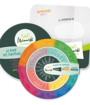 La roue des émotions : adultes