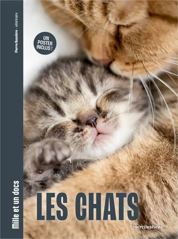 Les-chats.webp